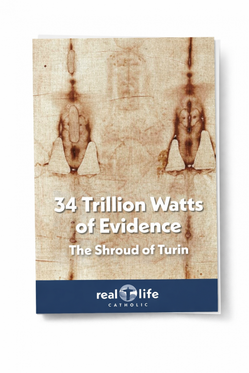 shroud of turin download